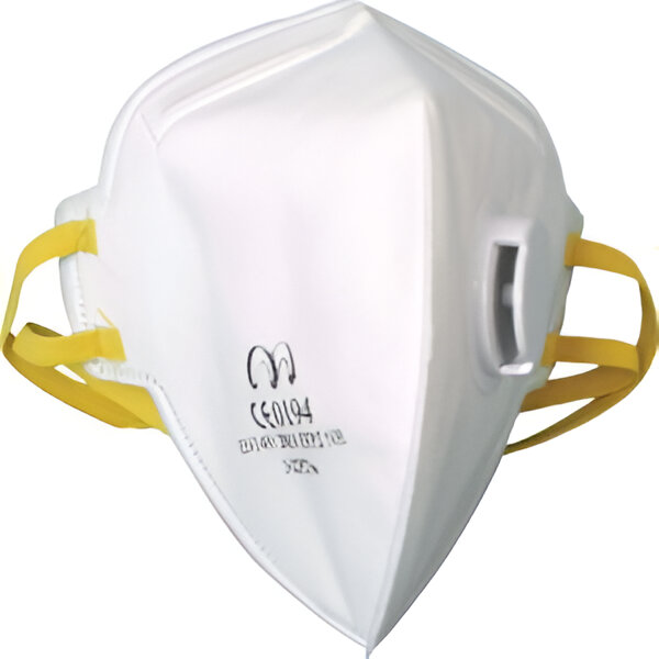 302P2Vw_1 mask